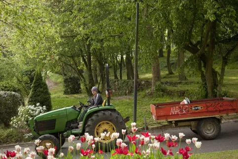 Unité de formation par apprentissage Saint-Jean - Travaux Paysagers