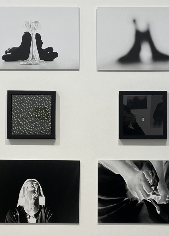 L'oeuvre est constituée de 12 photos en noir en blanc, disposées en 3 lignes. Les 4 du haut montrent 2 personnes assises dos à dos, sauf la dernière qui ne montre qu'une personne. Les 4 du milieu, dans des cadres carrés plus petits, présentent des jeux graphiques de points blancs sur fond noir. Les 4 photos du bas sont un travail graphique sur un visage et des mains, entre négatif et positif.
