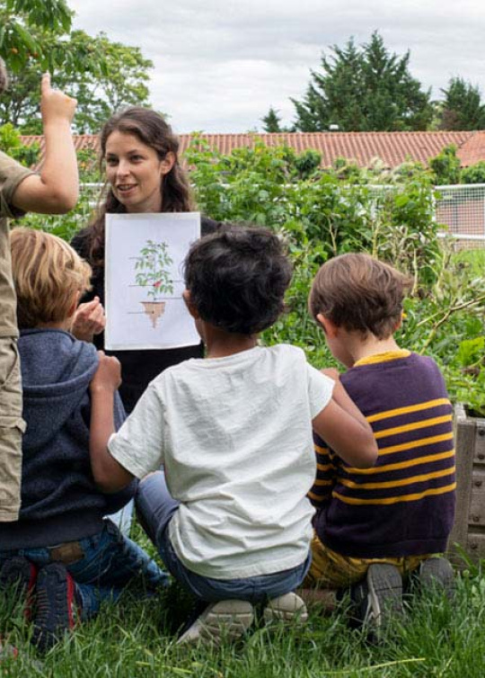 jeunes enfants dans un potager