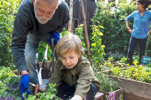 Un enfant jardine avec un adulte - visuel d'illustration