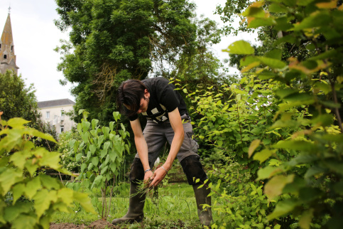 Un jeune en tenue de jardinier ramasse des végétaux. 