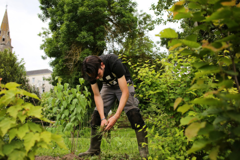 Un jeune en tenue de jardinier ramasse des végétaux.