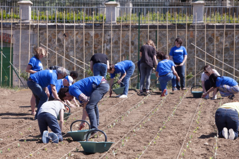 Salariés d'une entreprise dans un jardin 