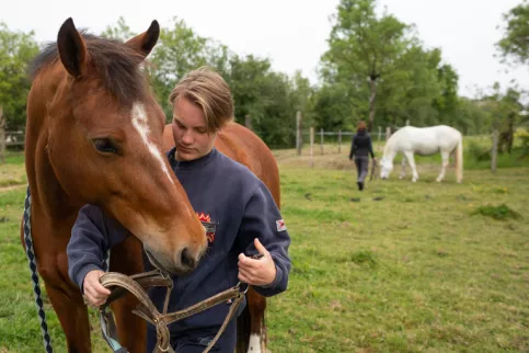 LPA Daniel Brottier - CAPA2 élevage équin : Amandine met un filet à un cheval qui est au pré