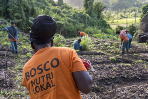 Site éducatif Saint Jean Bosco, atelier chantier d'insertion en agriculture “Bosco nutri lokal“ d'Apprentis d'Auteuil à Gourbeyre (97),