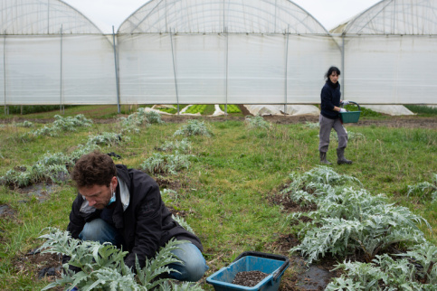 Des salariés du Potager Saint-Julien (44)