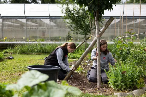 Deux jeunes filles arrachent des plantes dans une serre