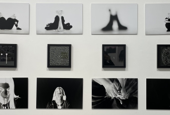 L'oeuvre est constituée de 12 photos en noir en blanc, disposées en 3 lignes. Les 4 du haut montrent 2 personnes assises dos à dos, sauf la dernière qui ne montre qu'une personne. Les 4 du milieu, dans des cadres carrés plus petits, présentent des jeux graphiques de points blancs sur fond noir. Les 4 photos du bas sont un travail graphique sur un visage et des mains, entre négatif et positif.