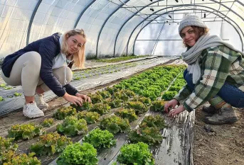 2 jeunes filles travaillant sous une serre