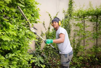 Jardins d'Auteuil, Alberto passe le taille-haie