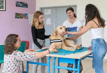 Groupe scolaire Val de Drôme - médiation animale avec Natacha Vauclin, Ornella CAP2, Léana 4ème, Préscillia CAP2 et Usko le chien