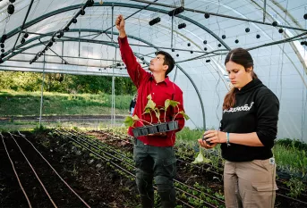 Lycée professionnel agricole Saint-François La Cadène. Maraîchage dans les serres avec Héloïse et Bastien 