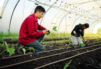 Lycée professionnel agricole Saint-François La Cadène,  plantation dans les serres avec Héloïse et Bastien