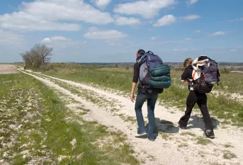 Sur les chemins de Compostelle