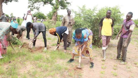 Activité commune dans les champs au Burkina Fasso