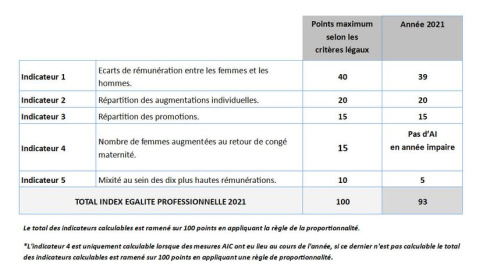 tableau de l'index égalité professionnelle 2021