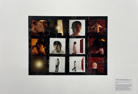 L'oeuvre est constituée de 12 photos, montrant Stefan dans différentes postures, en gros plans ou en pied
