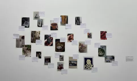 L'oeuvre est constituée d'une vingtaine de photos, chacune légendée