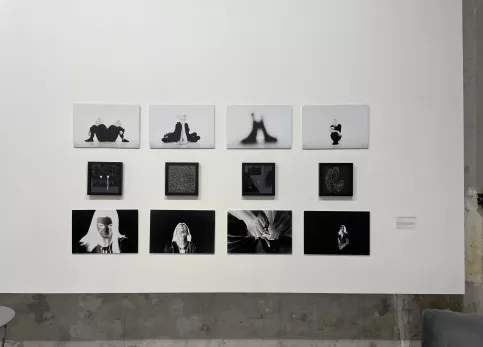 L'oeuvre est constituée de 12 photos en noir en blanc, disposées en 3 lignes. Les 4 du haut montrent 2 personnes assises dos à dos, sauf la dernière qui ne montre qu'une personne. Les 4 du milieu, dans des cadres carrés plus petits, présentent des jeux graphiques de points blancs sur fond noir. Les 4 photos du bas sont un travail graphique sur un visage et des mains, entre négatif et positif. 