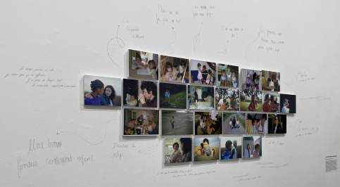 L'oeuvre est constituée d'une vingtaine de photos. Certaines sont légendées, les légendes étant écrites directement sur le mur d'exposition.