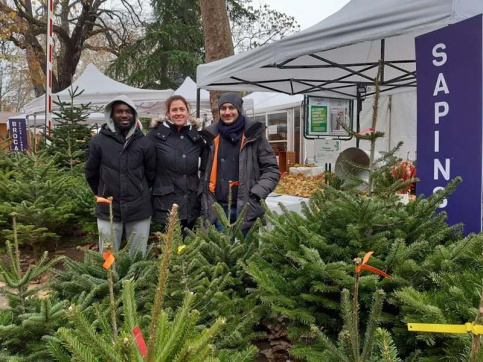 3 personnes au milieu de sapins