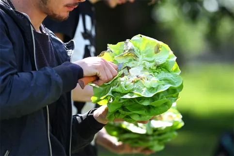 Lycée professionnel agricole - un jeune en maraîchage 