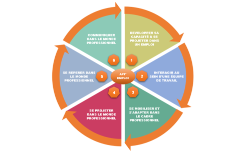 Dans un cercle, liste des 6 compétences, chacune liée à la suivante par une flèche : 1. Développer sa capacité à se projeter dans un emploi. 2. Interagir au sein d'une équipe de travail. 3. Se mobiliser et s'adapter dans le cadre professionnel. 4. Se projeter dans le monde professionnel.5. Se repérer dans le monde professionnel. 6. Communiquer dans le monde professionnel