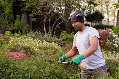 Jardins d'Auteuil, Alberto passe le taille-haie 