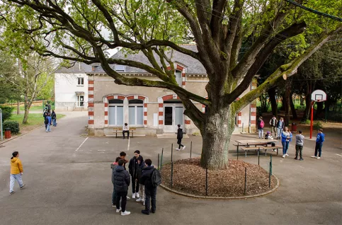 Elèves dans la cour du collège Saint-Louis