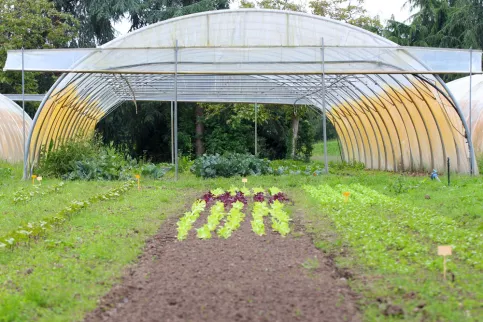 Serre ouverte du Potager Saint-Julien