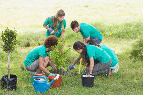 5 jeunes dans un jardin en train de faire des plantations (arbustes)