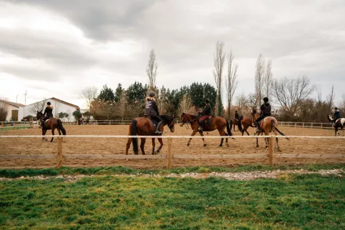 jeunes cavaliers dans un manège en pleine air
