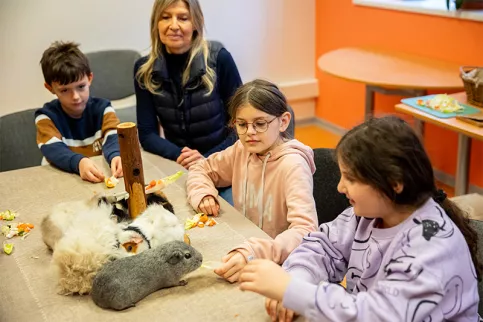 Services éducatifs Louis et Zélie Martin à Colmar - dispositif AEMO - Atelier médiation animale  avec l'association Agatea.  Valentin, Nora et Hazal, donnent à manger aux cobayes.