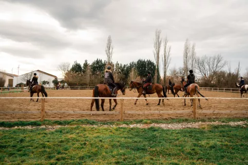 Chevaux en entrainement dans un manège avec des cavaliers