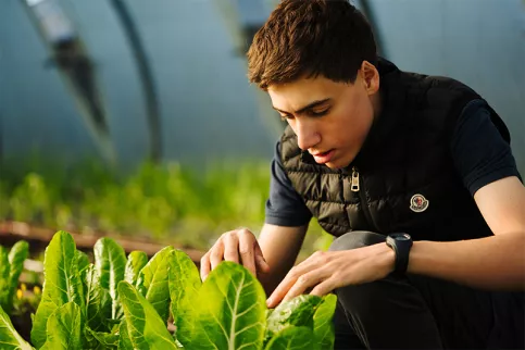 Lycée professionnel agricole Saint-François La Cadène,  maraîchage dans les serres avec Martin