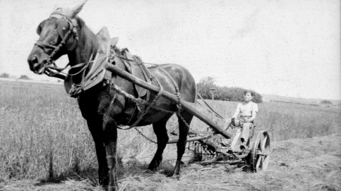 Le foyer à la campagne (c) Archives historiques/Apprentis d'Auteuil 