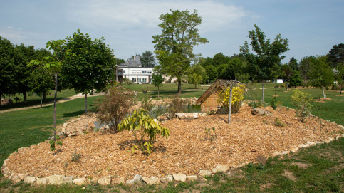Différentes zones (un espace désert avec une rivière asséchée) ont été créées (c) Besnard / Apprentis d'Auteuil Différentes zones (un espace désert avec une rivière asséchée) ont été créées (c) Besnard / Apprentis d'Auteuil
