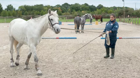 Exercices dans la carrière (C) Michel Le Moine/Apprentis d'Auteuil