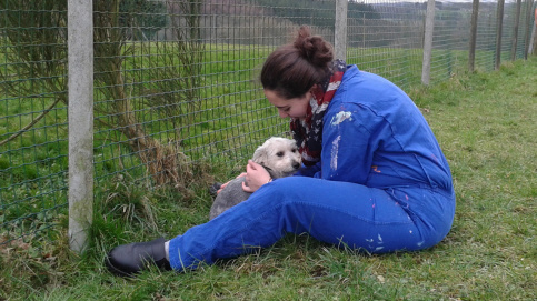 Des jeunes de Saint-Michel câlinent les chiens abandonnés de la SPA dans le cadre d'un partenariat (c) DR