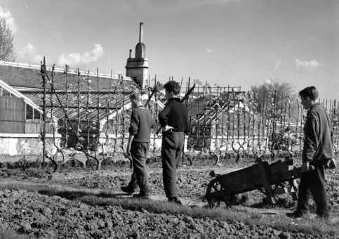 Les jardins de Saint-Philippe (Meudon, 92) (c) Archives historiques Apprentis d'Auteuil 