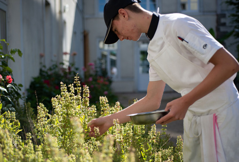 Un jeune cuisinier du restaurant d'application Daniel-Brottier de Bouguenais (44) cueille des herbes aromatiques dans le jardin de l'établissement pour les préparations du jour.© Emmanuel Ligner/Apprentis d'Auteuil