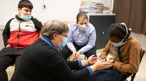 Une approche pédagogique innovante. Ici, l'observation d'un cochon d'Inde. Besnard / Apprentis d'Auteuil Une approche pédagogique innovante. Ici, l'observation d'un cochon d'Inde. Besnard / Apprentis d'Auteuil