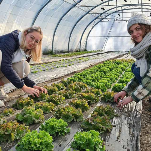 2 jeunes filles travaillant sous une serre