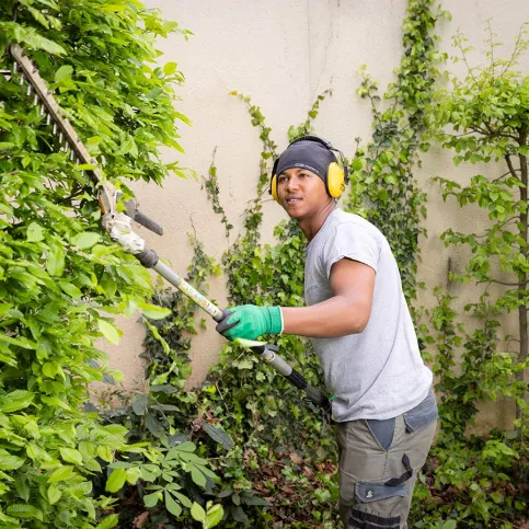Jardins d'Auteuil, Alberto passe le taille-haie