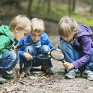 Enfants avec une loupe regardant des insectes en forêt