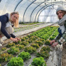 2 jeunes filles travaillant sous une serre