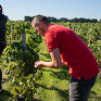 Jeunes en formation SKOLA Vignes sur le terrain dans les vignes