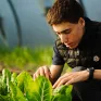 Lycée professionnel agricole Saint-François La Cadène,  maraîchage dans les serres avec Martin